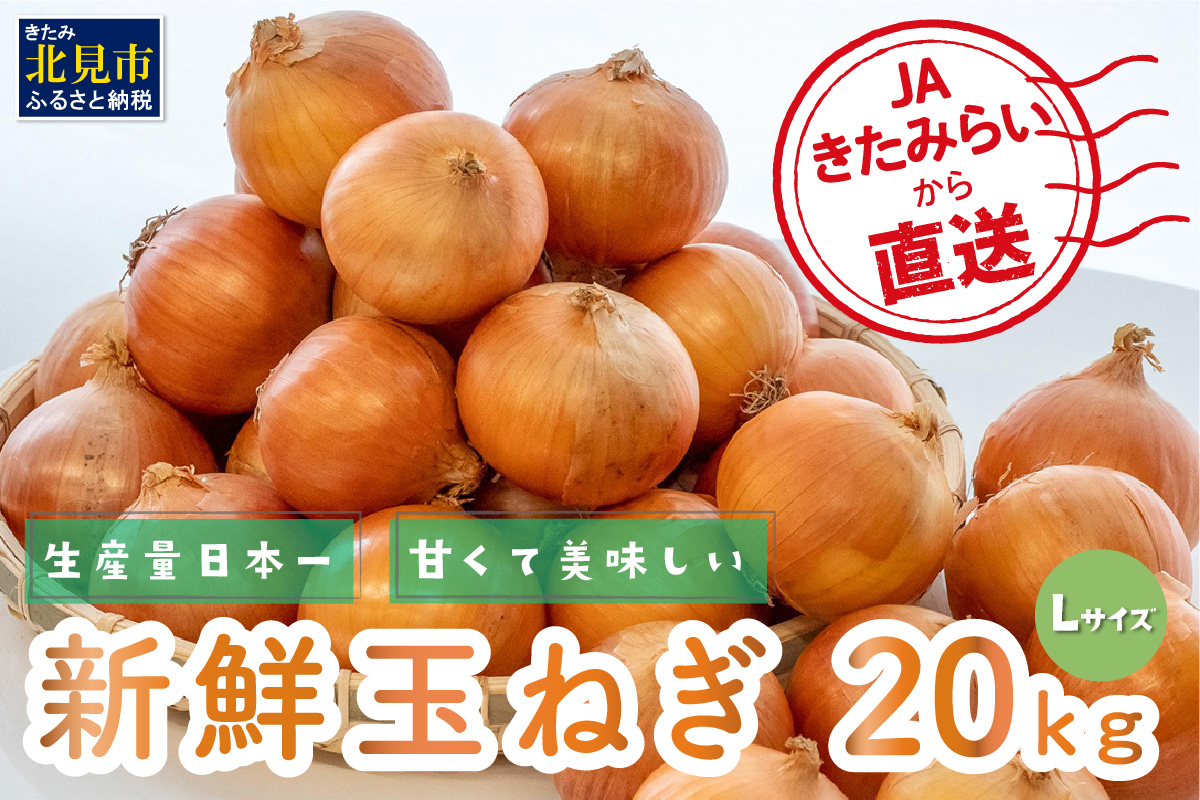 【予約：2024年10月中旬から順次発送】☆日本農業賞大賞受賞☆JAきたみらいから直送する甘くて美味しい新鮮玉ねぎ 20kg Lサイズ ( たまねぎ 野菜 北海道 玉葱 )【104-0008-2024】