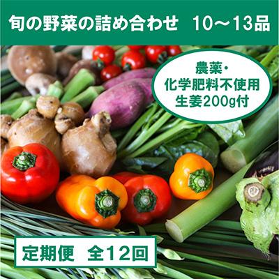 ふるさと納税 南国市 【毎月定期便】旬の野菜と栽培期間中農薬不使用の生姜付き全12回