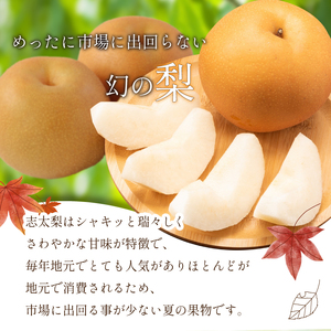 【先行予約：2024年8月出荷】梨 3kg 志太梨 静岡県産 ( 果物 フルーツ 産地 直送 家庭用 なし 藤枝産梨 甘い梨 貴重種梨 限定梨 旬の梨 ) 静岡県 藤枝市