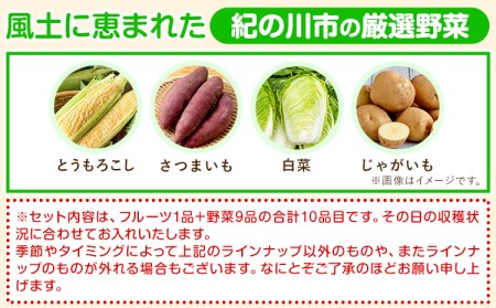 野菜 野菜セット【3ヶ月定期便】紀の川市の恵み 旬のフルーツ＆野菜セット 計8~10品《お申込み月翌月から出荷開始》和歌山県 紀の川市 フルーツ 果物 野菜