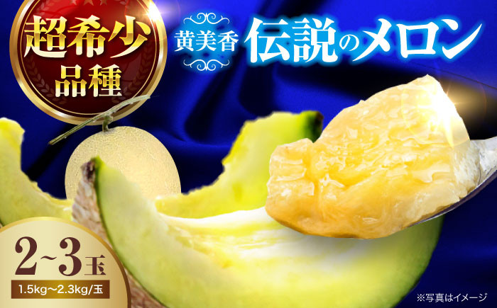 メロン 希少品種 『黄美香（きみか）』 愛媛県大洲市