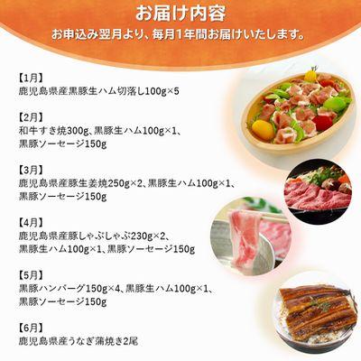 ふるさと納税 南九州市 【全12回】鹿児島自慢の豚・牛・うなぎ まんぷく定期便 |  | 01