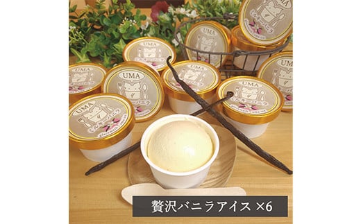 スイーツ専門店の作るこだわりアイスクリーム6個セット バニラアイス 各90ml入り_アイスクリーム アイス バニラアイス バニラ ミルキーバニラ 6個 セット スイーツ デザート 岡山県 津山市 冷凍 ギフト 送料無料【1455004】
