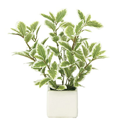 【ふるさと納税】雑貨 光の楽園 ミニリーフG/W 日用品 植物 造花 フェイクグリーン フェイクフラワー 光触媒 消臭 抗菌 防汚 静岡県浜松市