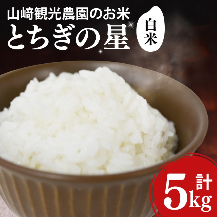 米 5kg 白米 「とちぎの星」 ＼先行予約／ 山﨑観光農園 栃木県 益子町 ふるさと納税 お米 とちぎの星 白米 精米 5キロ 令和7年産 先行予約 10月配送 (AU023)