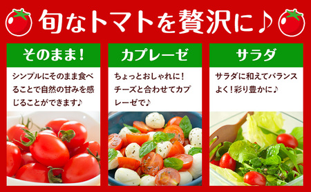 T07栃木県野木町産ミニトマト「アイコ」小箱（約1.5kg）