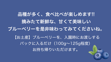 ブルーベリー狩り 体験チケット 《ファミリー３名様プラン お土産付き》  [DZ009sa]