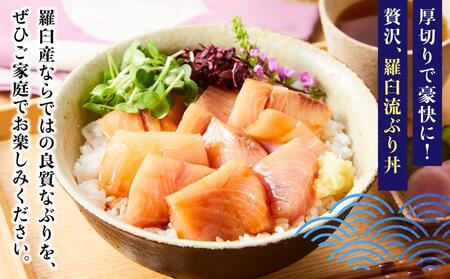 【2026年3月発送】北海道 知床羅臼産 天然ぶり刺身 2kg (250g×8パック) 魚 海産物 魚介 魚介類 ブリ 鰤 刺身 ご飯のお供 冷凍 生産者 支援 応援