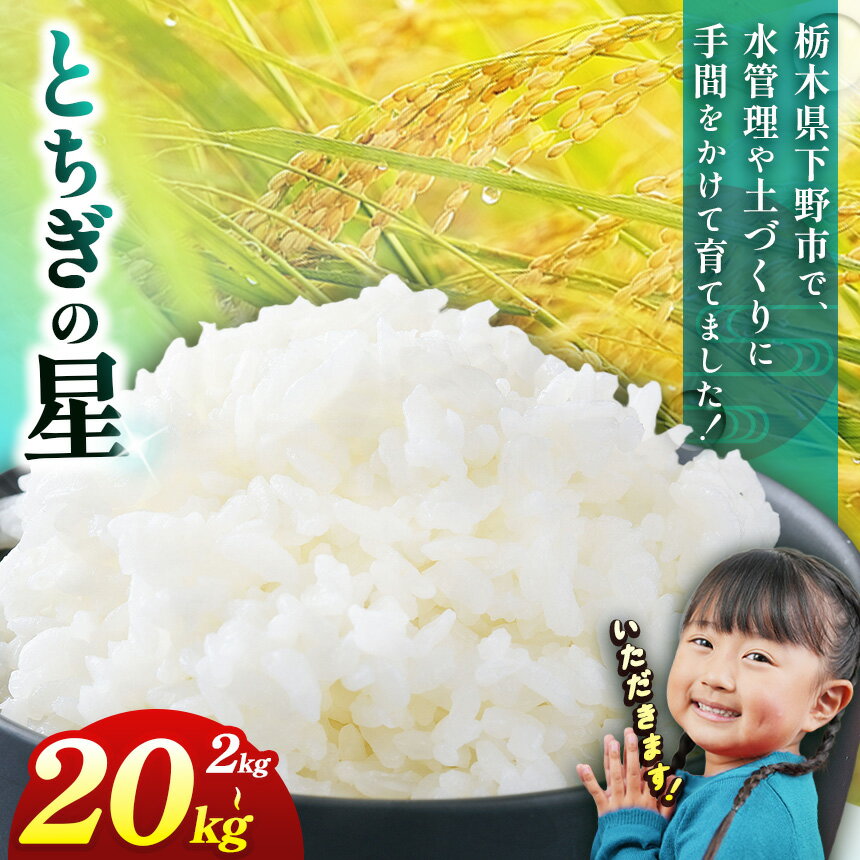 【ふるさと納税】お米 下野市産 とちぎの星 2~20kg 選べる内容量 玄米 白米 | 米 こめ コメ 白米 精米 トチギの星 とちぎのほし トチギノホシ トチギノホシ 栃木米 令和7年度米 令和7年 2025年度 ブランド米 栃木県 特産品 送料無料 栃木県 下野市