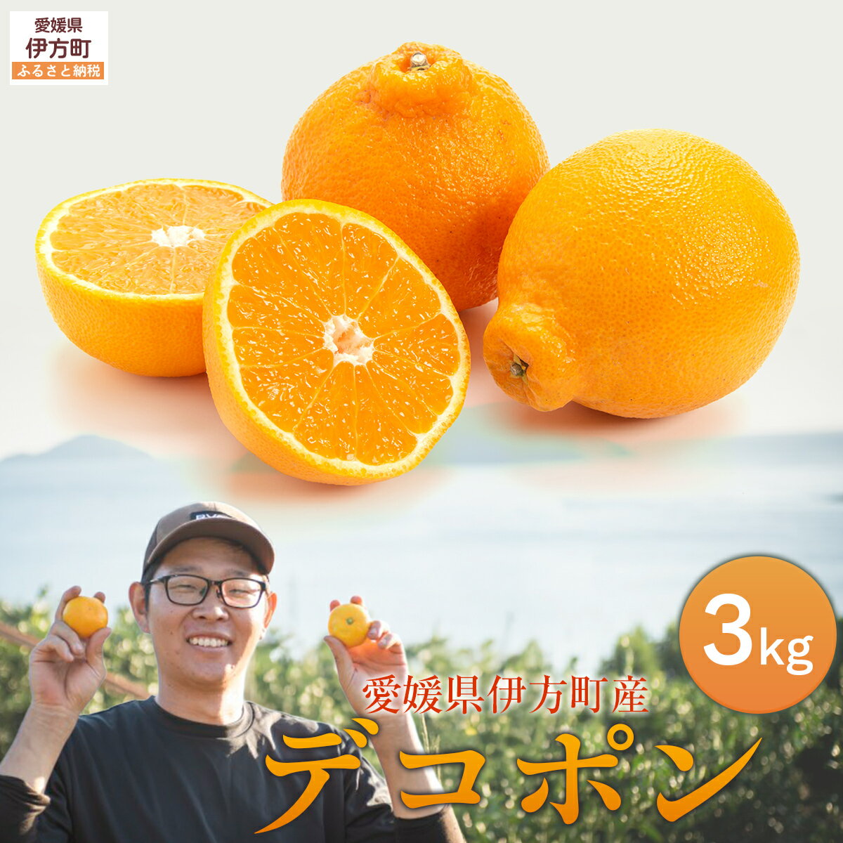 【ふるさと納税】【先行予約】デコポン3kg ※離島への配送不可 （2027年2月10日より順次発送予定）【ふるさと納税 人気 おすすめ ランキング 柑橘 みかん ミカン 蜜柑 デコポン でこぽん 果物 フルーツ 愛媛県産 石崎農園 愛媛県 伊方町 送料無料】 IKTAG005