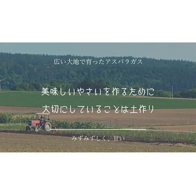 ［武田農園とれたて直送］2027年春～発送 訳あり グリーンアスパラ サイズ混合 約2kg ご家庭用 やわらかくて抜群に甘い！北海道 富良野産 ( アスパラガス アスパラ 野菜 新鮮 産地直送 先行予