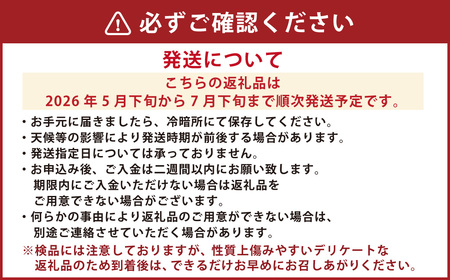肥後グリーンメロン 2玉 （約3～4kg） めろん 果物 くだもの フルーツ 国産 九州 熊本県 熊本市 常温 【2026年5月下旬～7月下旬迄順次発送予定】