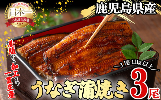 桜林養鰻のうなぎ蒲焼 計333g以上(111g以上×3尾) b0-175