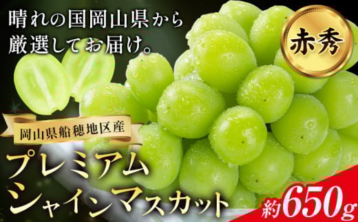【2026年先行予約】ぶどう プレミアム シャインマスカット 船穂 赤秀品 晴王 1房約650g《2026年9月中旬-10月中旬頃出荷》晴レ乃青果　(岡山中央卸売市場店(富士紙工 有限会社)) マスカット 送料無料 岡山県 浅口市 フルーツ 果物 贈り物 ギフト 国産 【配送不可地域あり】