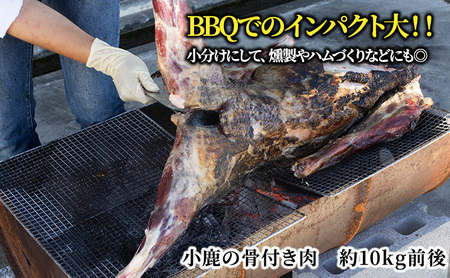 【伊豆産シカ肉】シカ1頭丸焼きセット（約10kg）鹿肉 シカ肉 ジビエ 高タンパク 高たんぱく 低カロリー 低脂肪 肉 お肉 山の幸