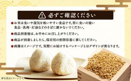 【4回定期便】浦臼産ななつぼし 玄米 10kg×1袋 | 米 お米 こめ コメ ブランド米 ごはん ななつぼし玄米 定期 定期便 北海道産 浦臼産 北海道 浦臼町