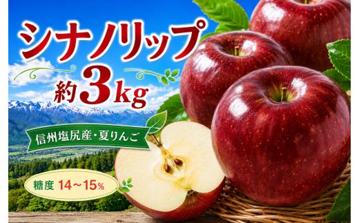 【2026年先行予約】信州塩尻産 シナノリップ 約3kg | 先行受付 果物 くだもの フルーツ シナノリップ りんご 林檎 信州 長野県 塩尻市