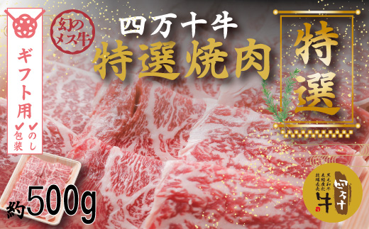【ギフト用（包装・のし対応）】26-977G．幻のメス牛 四万十牛特選焼肉（約500ｇ）