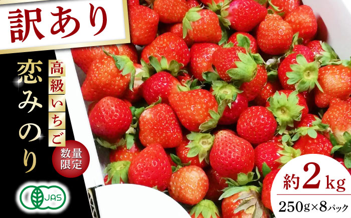 【訳あり】【先行予約】高級 いちご 恋みのり 約2000g【伊藤農園】 果物 フルーツ イチゴ いちご 苺  [ZBB012]