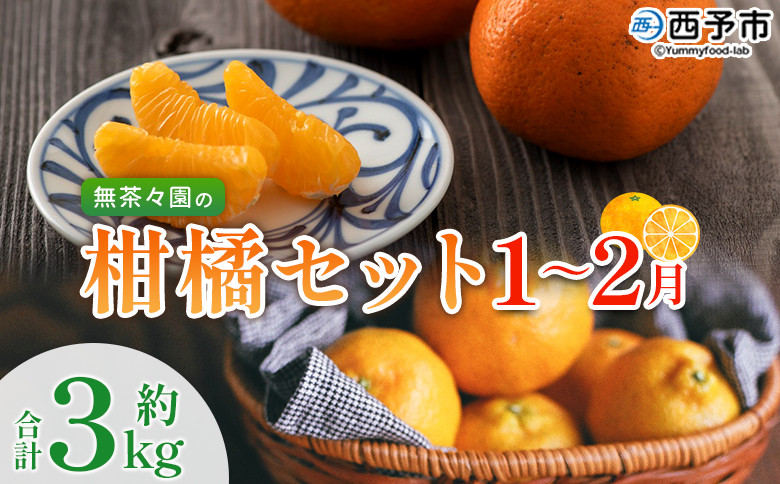 
                  【先行予約】＜無茶々園の柑橘セット 約3kg（1月中旬～2月中旬）＞ フルーツ 果物 くだもの 伊予柑 いよかん イヨカン ポンカン ぽんかん みかん 蜜柑 ミカン 詰め合わせ 詰合せ お楽しみ 食べ比べ お試し おためし 特産品 愛媛県 西予市【常温】
                