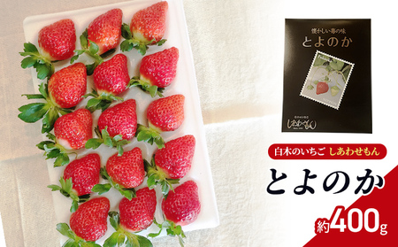 いちご いちご職人 白木のいちご しあわせもん とよのか 化粧箱 1箱 イチゴ 苺 果物 デザート ※配送不可：沖縄・離島