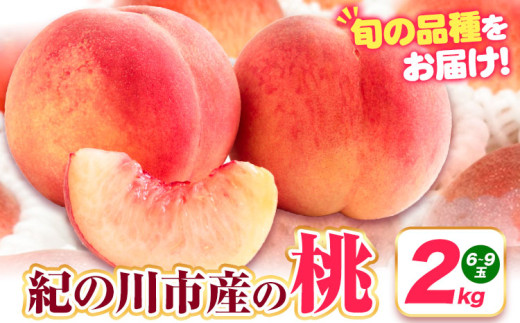 桃 紀の川市産 約2kg(6-9玉) 紀農人株式会社《2025年6月上旬-8月中旬頃出荷》 和歌山県 紀の川市 果物 フルーツ 桃 もも モモ 旬