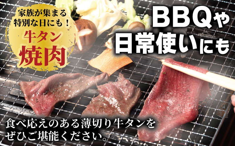 焼肉 牛タン 薄切り オリジナルスパイス  小分け お試し少量パック（250g×1P） 099H4377