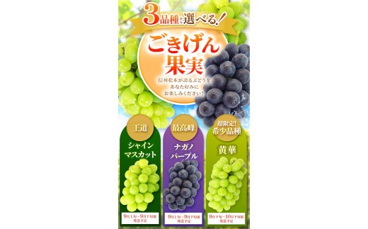 ブドウ王国 長野県から ごきげん果実♪ をお届けします