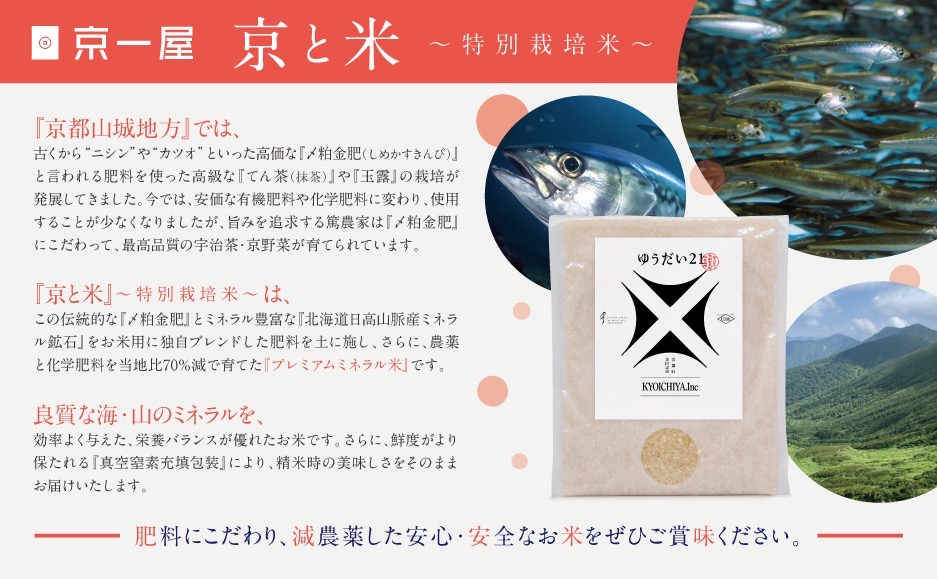 京都府京田辺市産 京と米 ゆうだい21 2kg (2kg×1袋) R7年度産 お米 米 こめ コメ 精米 白米 ごはん ご飯 弁当 おにぎり 真空 長期保存 防災 京田辺市 京都府 kt2026