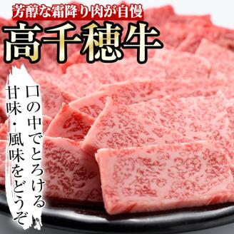 高千穂牛 焼き肉セット(ロース・カルビ各400g)国産 宮崎県産 宮崎牛 牛肉 焼肉 ロース カルビ 霜降り A4 和牛 ブランド牛【MT014】【JAみやざき 高千穂牛ミートセンター】