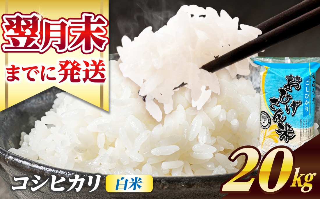 コシヒカリ 白米 20kg / 脇野コンバイン[AECP023-12]