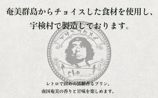 奄美大島 グァバ パンナコッタ（4個入り）こだわり 素材 人気 スイーツ デザート 洋菓子 奄美大島 宇検村 鹿児島【プリン専門店che】
