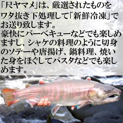 ふるさと納税 三股町 尺ヤマメプレミアムと甘露煮セット【MI020】 |  | 02