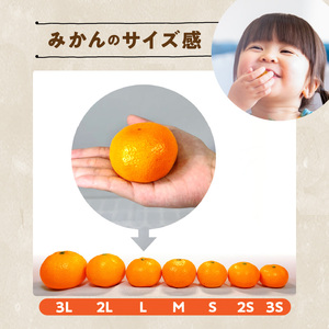 MK1049_【2025年先行予約】訳あり それでも みかん 箱込 7.5kg ( 内容量 6.8kg ) サイズミックス Ｂ品 有田みかん 和歌山県産 産地直送 家庭用【みかんの会】