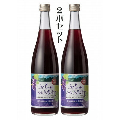 【ふるさと納税】【数量限定】ふらのぶどう果汁(赤)　2本セット【1609678】