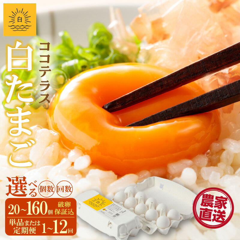 【ふるさと納税】ココテラスの朝日（ 白たまご ）【選べる個数・お届け回数】【 JGAP認証 】農家直送 新鮮 卵 純植物性飼料 飼料にこだわった 卵かけご飯 米たまご 大容量 卵 送料無料