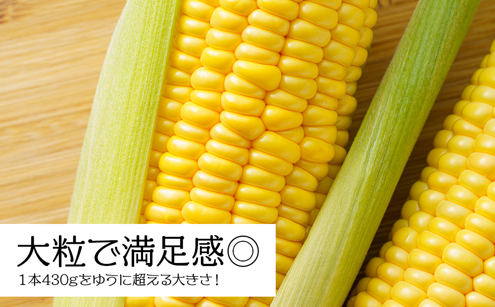 【先行予約】北海道 千歳産 とうもろこし 430ｇ以上 25本 恵味スター 野菜 トウモロコシ 甘い 旬 夏 BBQ ＜ファーム安澤＞