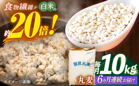 【全6回定期便】 長崎県産 丸麦 10kg / 麦 むぎ 雑穀 雑穀米 麦ごはん 麦飯 麦みそ 食物繊維 / 諫早市 / 有限会社伊東精麦[AHBU007]