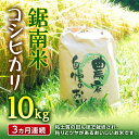 【ふるさと納税】《お米の定期便》令和6年度産 新米 鋸南米コシヒカリ10kg精米 3ヶ月連続 F22X-106