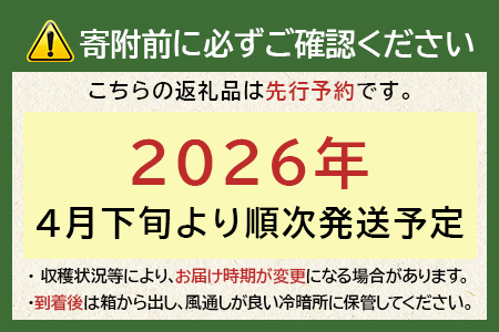 【先行予約】熊本県産 玉ねぎ 3kg (10玉前後) ≪2026年4月下旬から順次発送≫ 玉葱 野菜 数量限定 JAS たまねぎ オニオン 甘い ハンバーグ 肉じゃが 065-0635