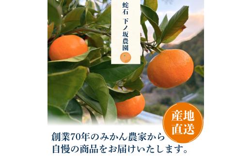 温州みかん 10kg　【 蜜柑 小さい こだま 大玉 みかん 温州みかん 宮川早生 早生みかん 人気 果物 農家直送 産地直送くだもの フルーツ ミカン 果汁 国産 特産品 蛇石下ノ坂農園 静岡県 伊