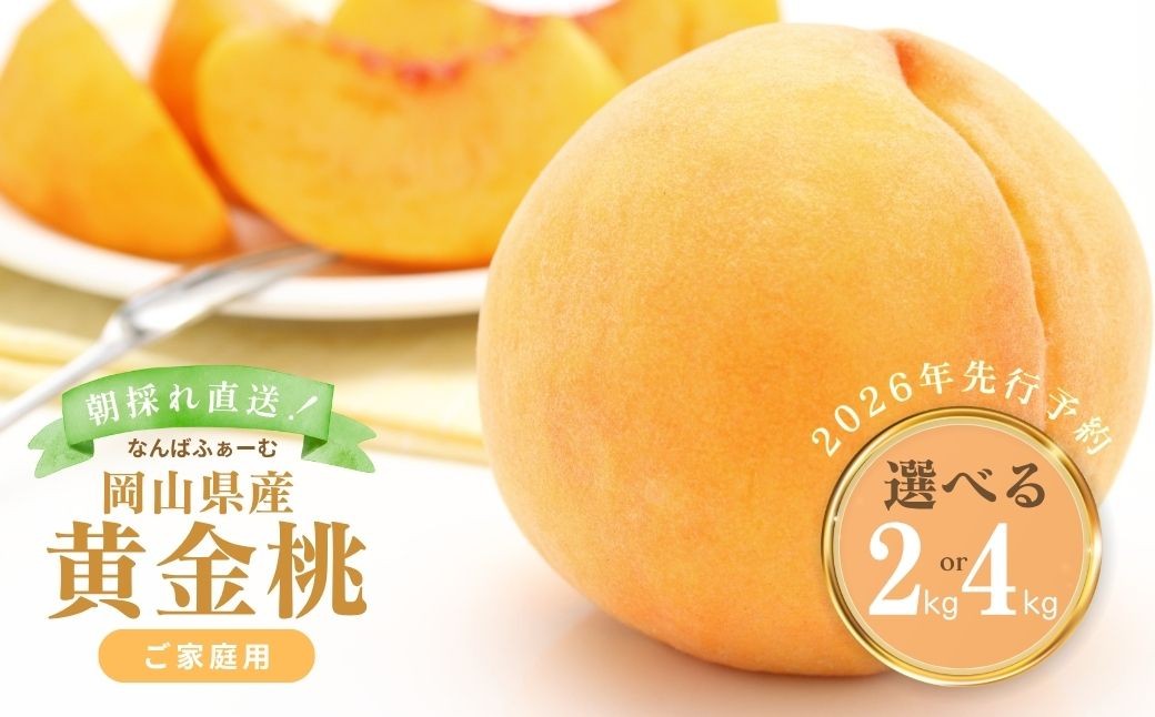 
            ＜選べる容量＞［なんばふぁーむ］岡山県産 黄金桃［ご家庭用］2.0kg（5～9玉）or 4.0kg（11～14玉）
          