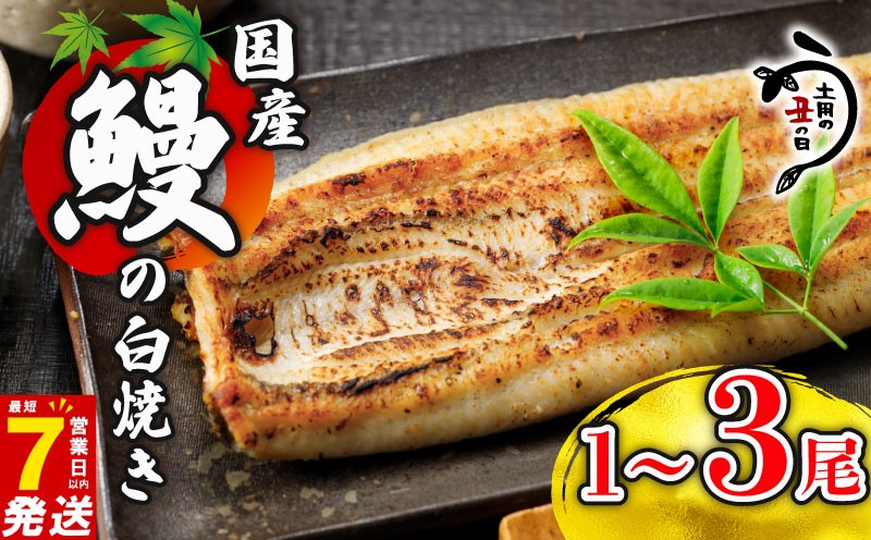 
                  ＼最短7営業日以内発送／ 国産鰻 の 白焼き 国産うなぎ 選べる 1尾 / 2尾 /3尾  半身 カット 国産 うなぎ ウナギ 鰻 炭火焼 炭火 うなぎ白焼き うな重 蒲焼 蒲焼き ひつまぶし 白焼 しらやき 人気 おすすめ 丑の日 贈り物 贈答 ギフト プレゼント 真空パック 送料無料 千葉県 旭市 川千家 kty
                