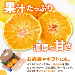  温室 不知火 （ しらぬい ） 5玉入 / デコポン ハウス栽培 甘い 和歌山 柑橘 お歳暮 ※2026年11月下旬〜2026年12月下旬に順次発送 【ymk006-p-5A】