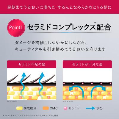 ふるさと納税 久喜市 フィーノ　プレミアムタッチ　浸透美容液ヘアミルク　2個セット |  | 01
