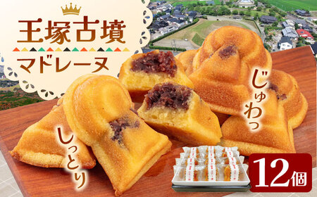 王塚古墳マドレーヌ（12個入り） 桂川町/菓子工房メルシー[ADAJ001]マドレーヌ 焼き菓子 古墳マドレーヌ マドレーヌセット