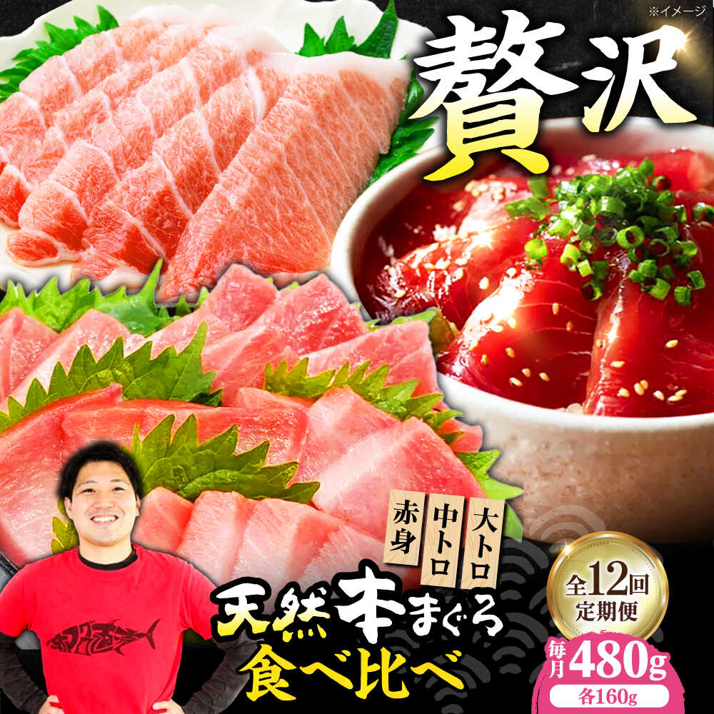【ふるさと納税】【全12回定期便】極上！たね熟天然本まぐろ赤身＆中トロ＆大トロセット(各160g 計480g)　大阪府高槻市/本まぐろ直売所[AOCE045]