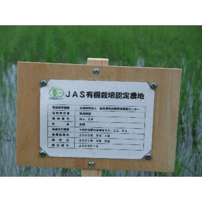 ふるさと納税 十日町市 【令和6年産】魚沼産コシヒカリ有機栽培米　10kg |  | 02