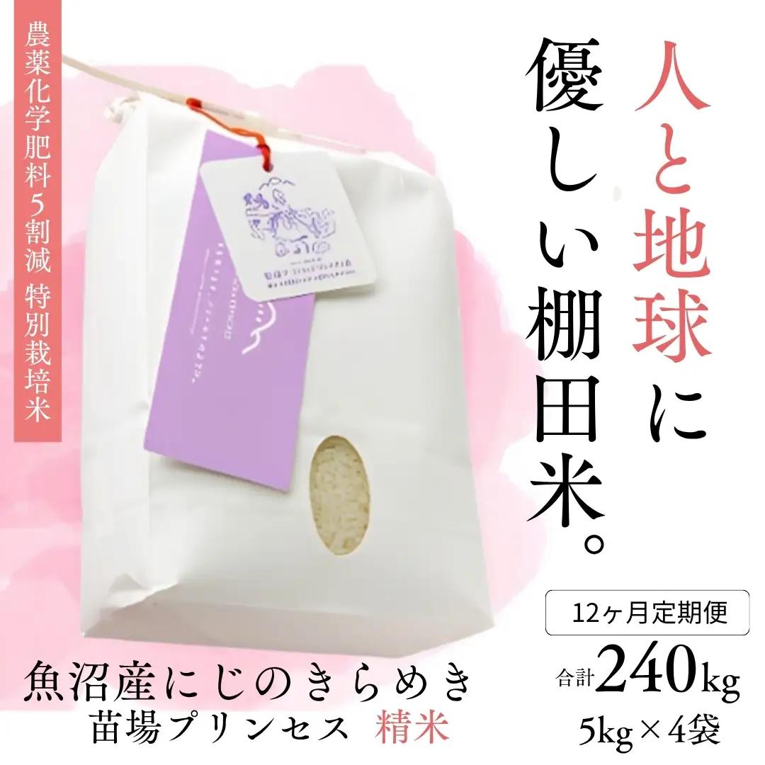 【令和8年産先行予約】【12ヶ月定期便】【農薬化学肥料5割減】魚沼産にじのきらめき苗場プリンセス特別栽培米 精米20kg(5kg×4)計240kg | 津南町 にじのきらめき