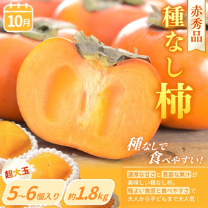 【定期便4回】フルーツ王国かつらぎ町よりお届け！旬のフルーツ定期便【kgr025】